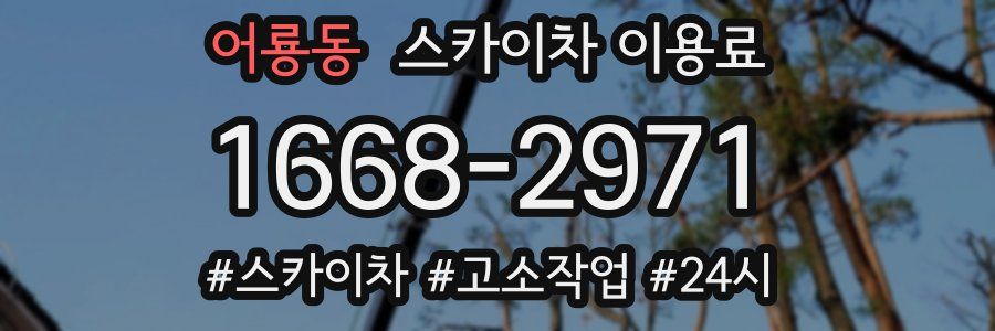 어룡동 스카이차 이용료