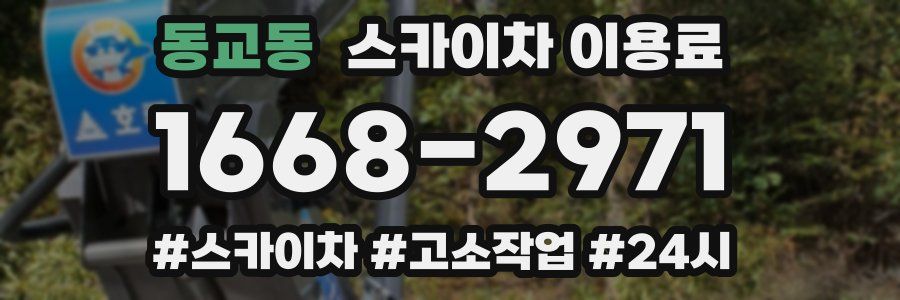 동교동 스카이차 이용료