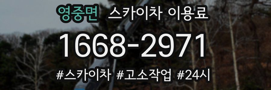 영중면 스카이차 이용료