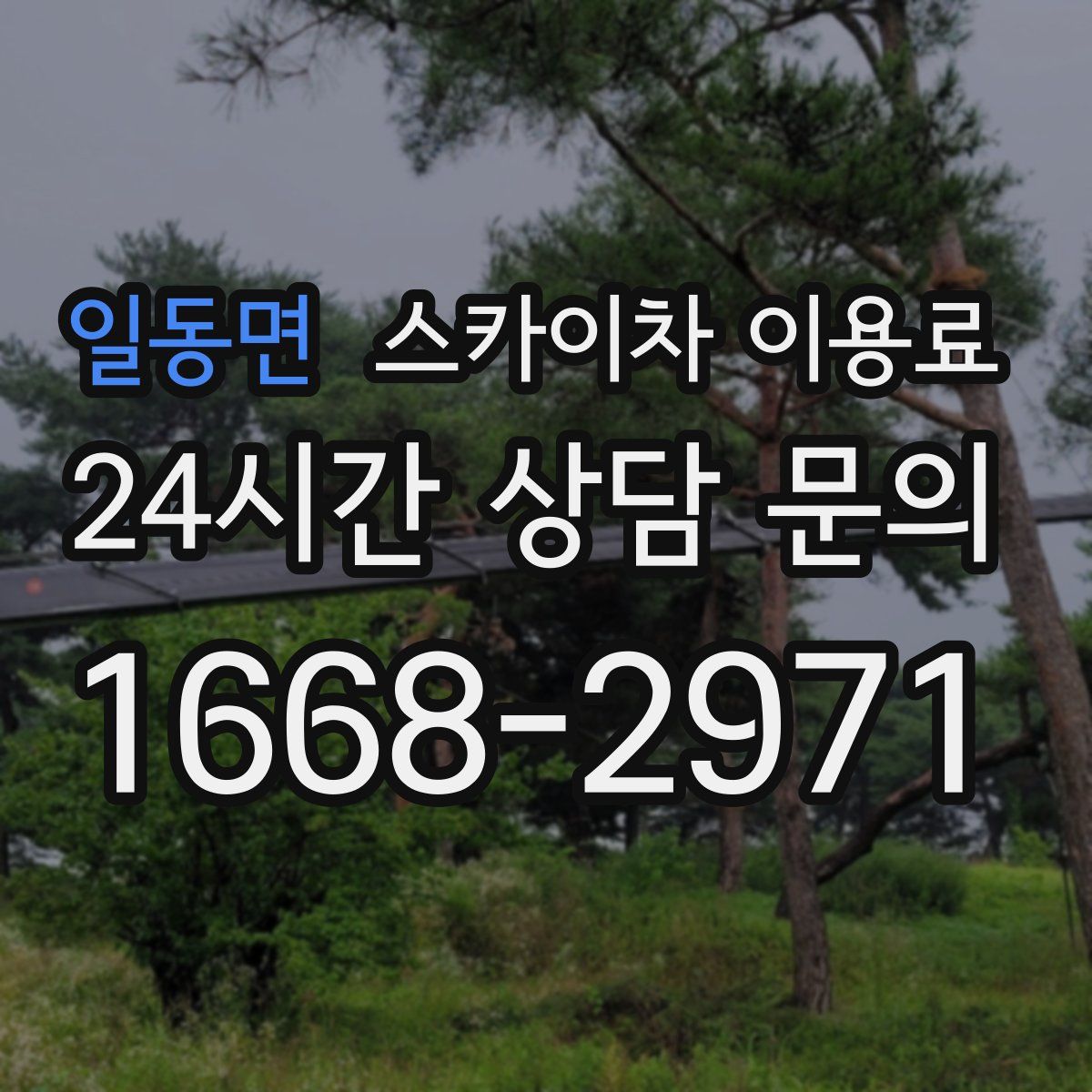 일동면 스카이차 이용료