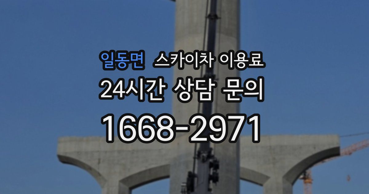 일동면 스카이차 이용료
