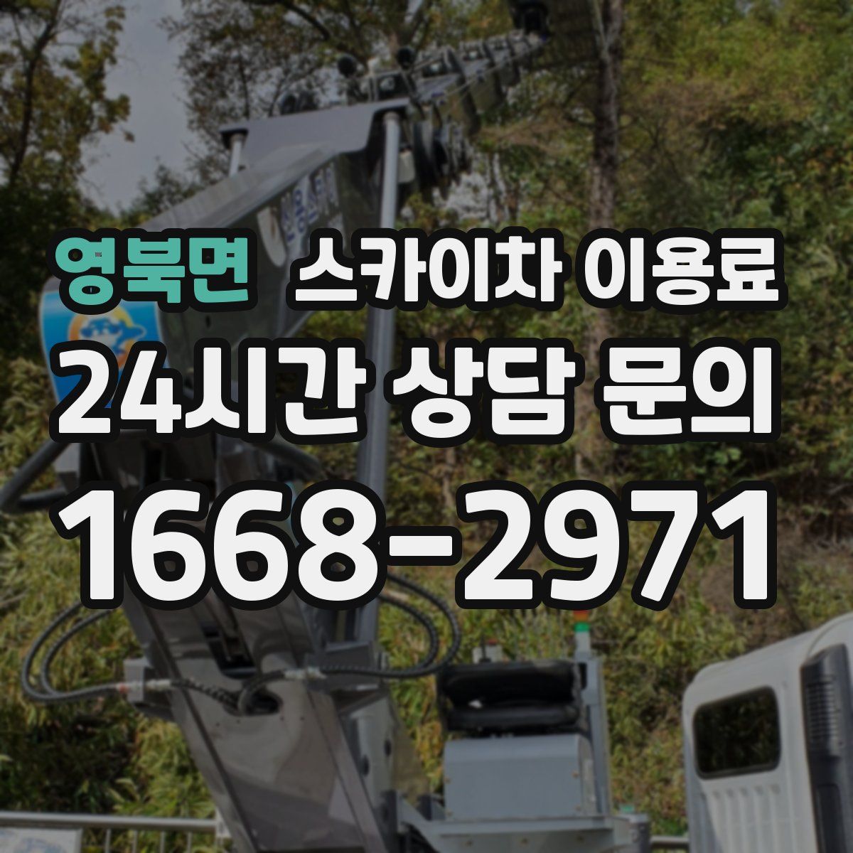 영북면 스카이차 이용료