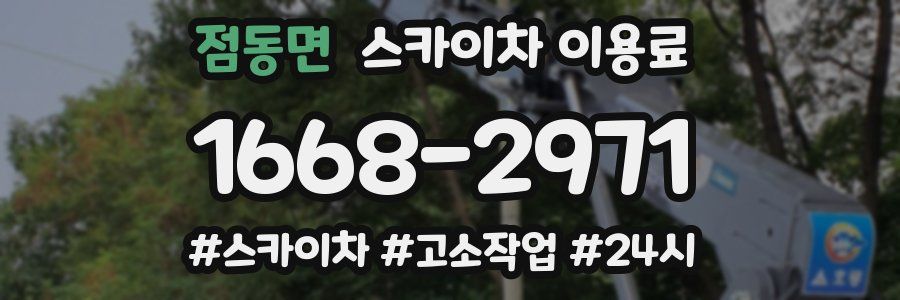 점동면 스카이차 이용료