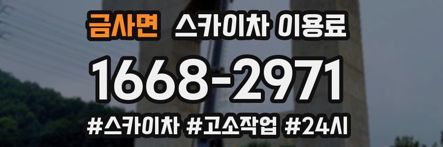 금사면 스카이차 이용료