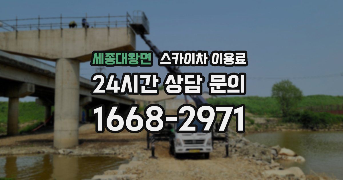 세종대왕면 스카이차 이용료