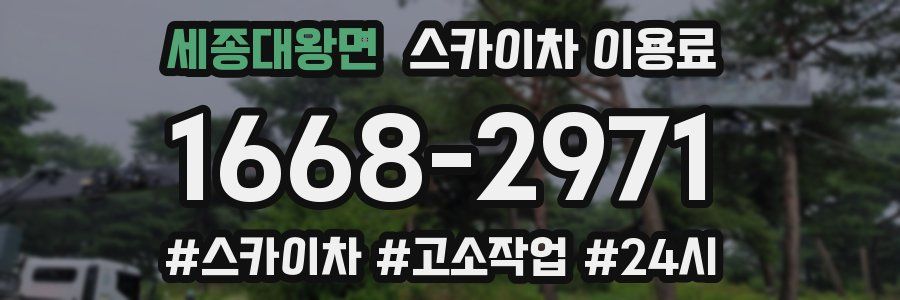 세종대왕면 스카이차 이용료