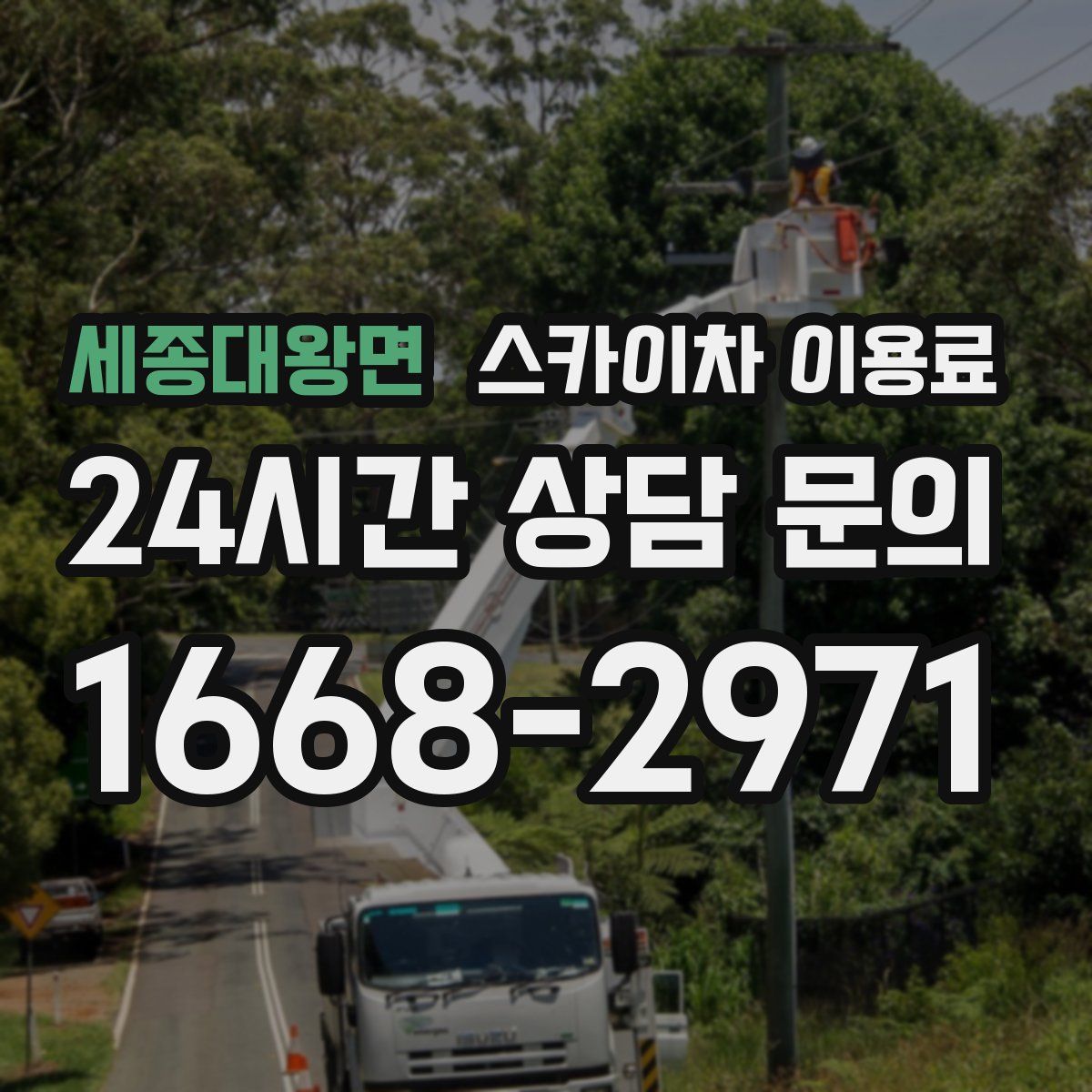 세종대왕면 스카이차 이용료