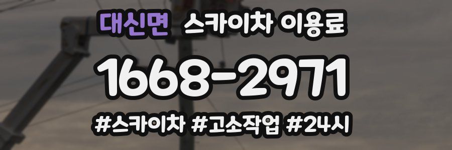 대신면 스카이차 이용료