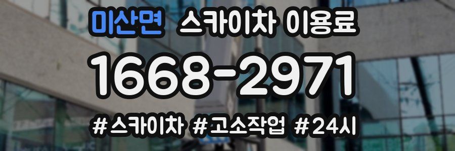 미산면 스카이차 이용료