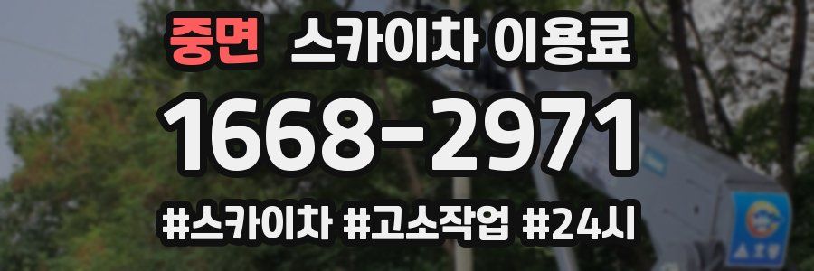 중면 스카이차 이용료