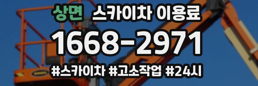 상면 스카이차 이용료