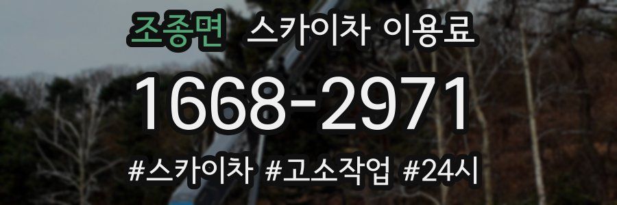 조종면 스카이차 이용료