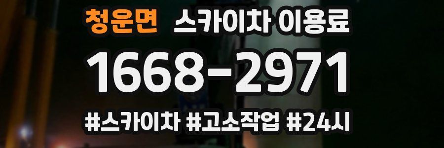 청운면 스카이차 이용료