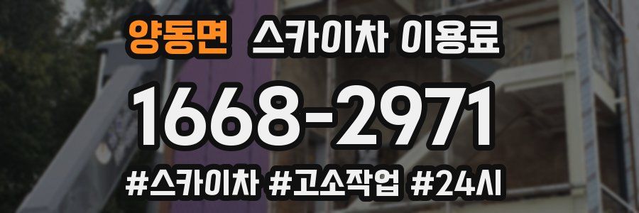 양동면 스카이차 이용료