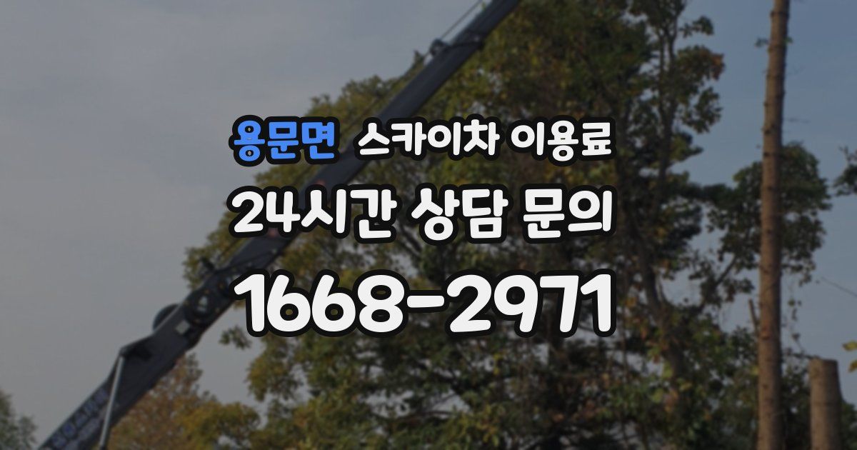 용문면 스카이차 이용료
