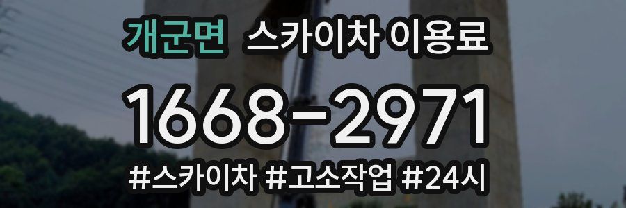 개군면 스카이차 이용료