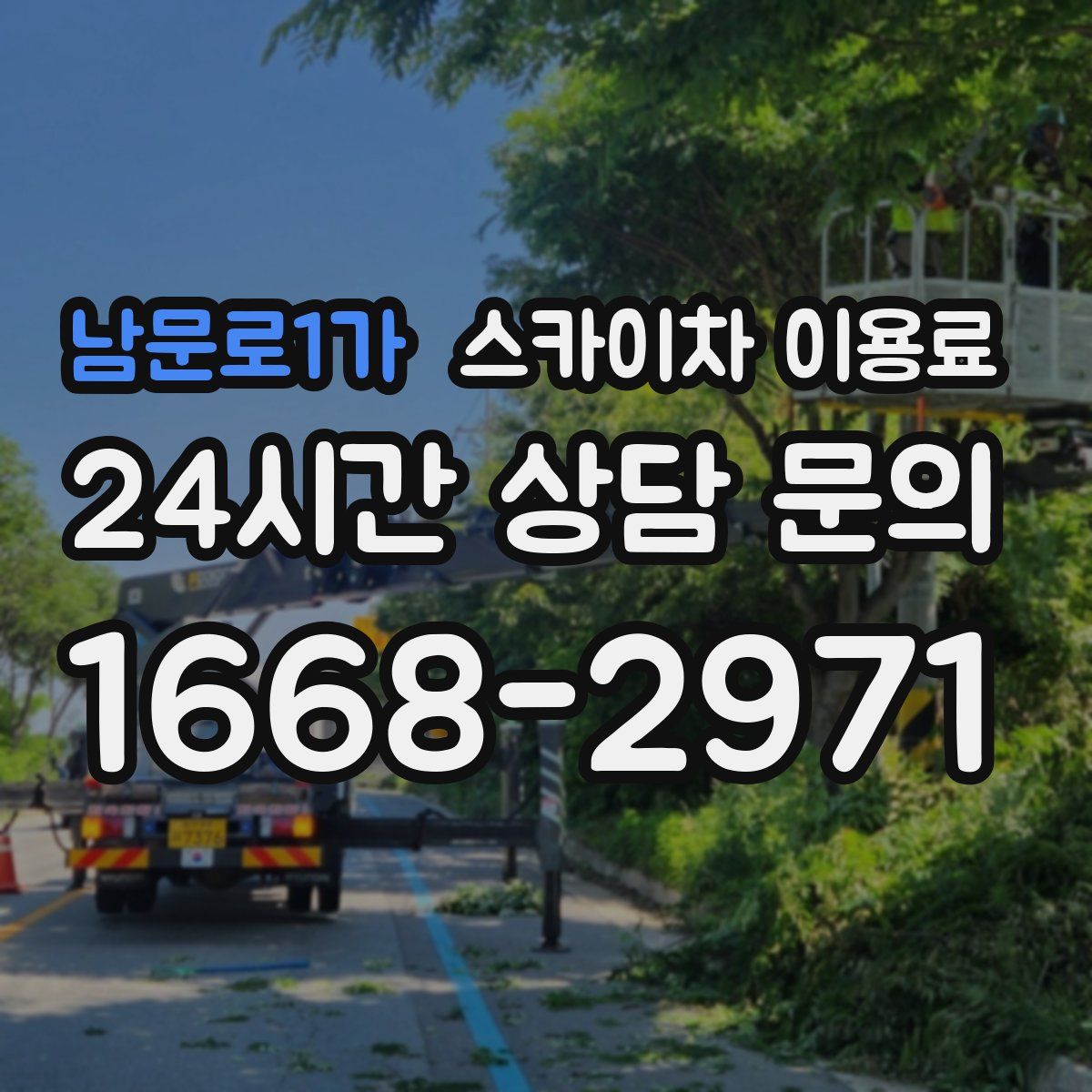 남문로1가 스카이차 이용료