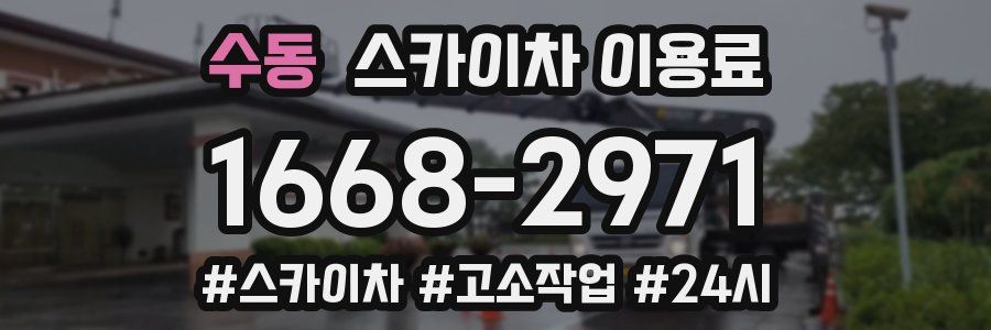 수동 스카이차 이용료