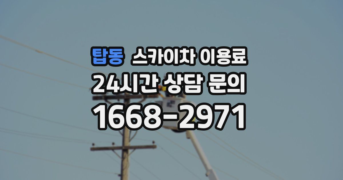 탑동 스카이차 이용료