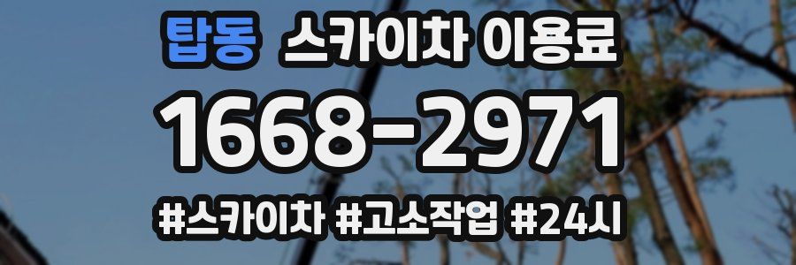탑동 스카이차 이용료