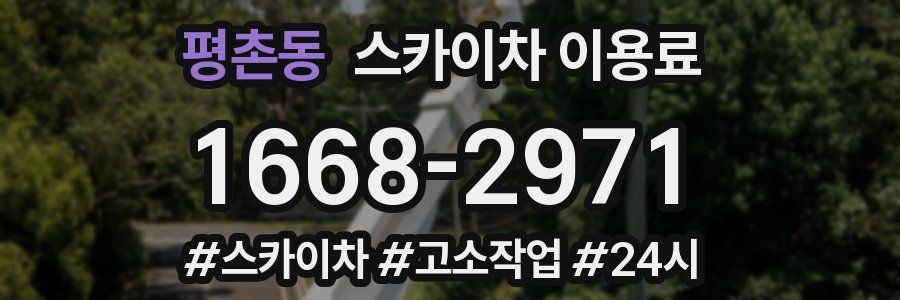 평촌동 스카이차 이용료