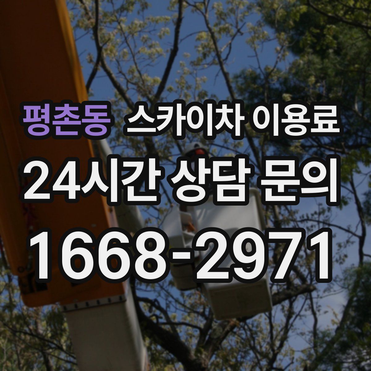 평촌동 스카이차 이용료