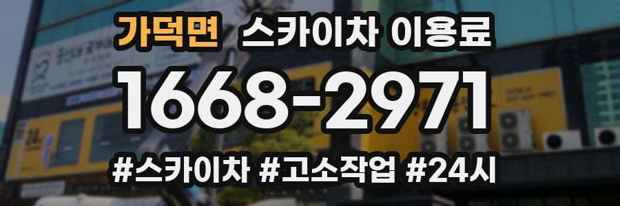 가덕면 스카이차 이용료