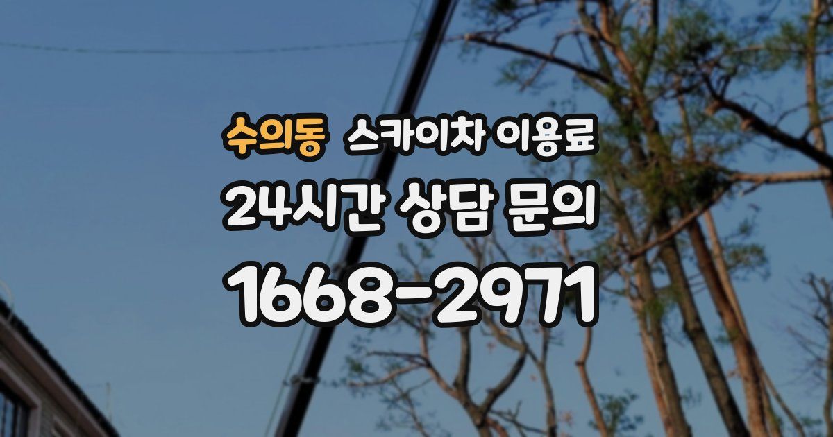 수의동 스카이차 이용료