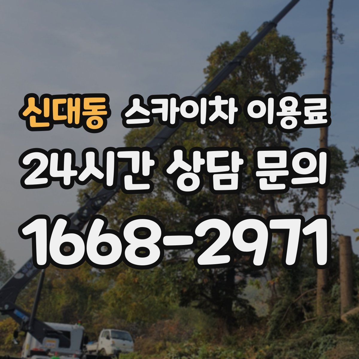 신대동 스카이차 이용료