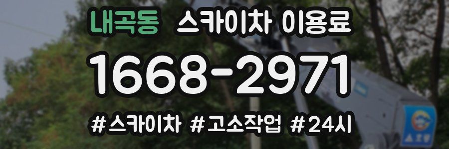 내곡동 스카이차 이용료
