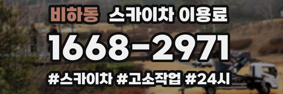 비하동 스카이차 이용료