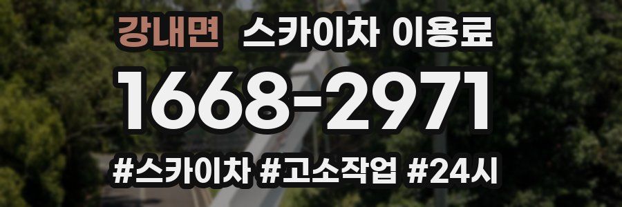 강내면 스카이차 이용료
