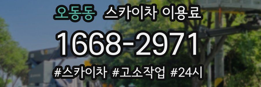 오동동 스카이차 이용료