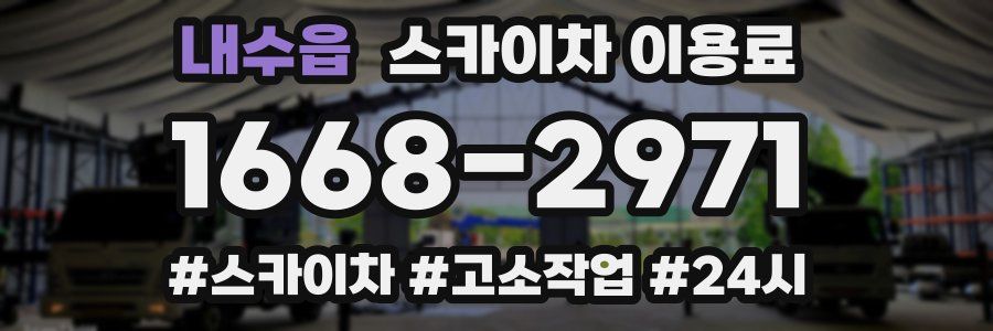 내수읍 스카이차 이용료