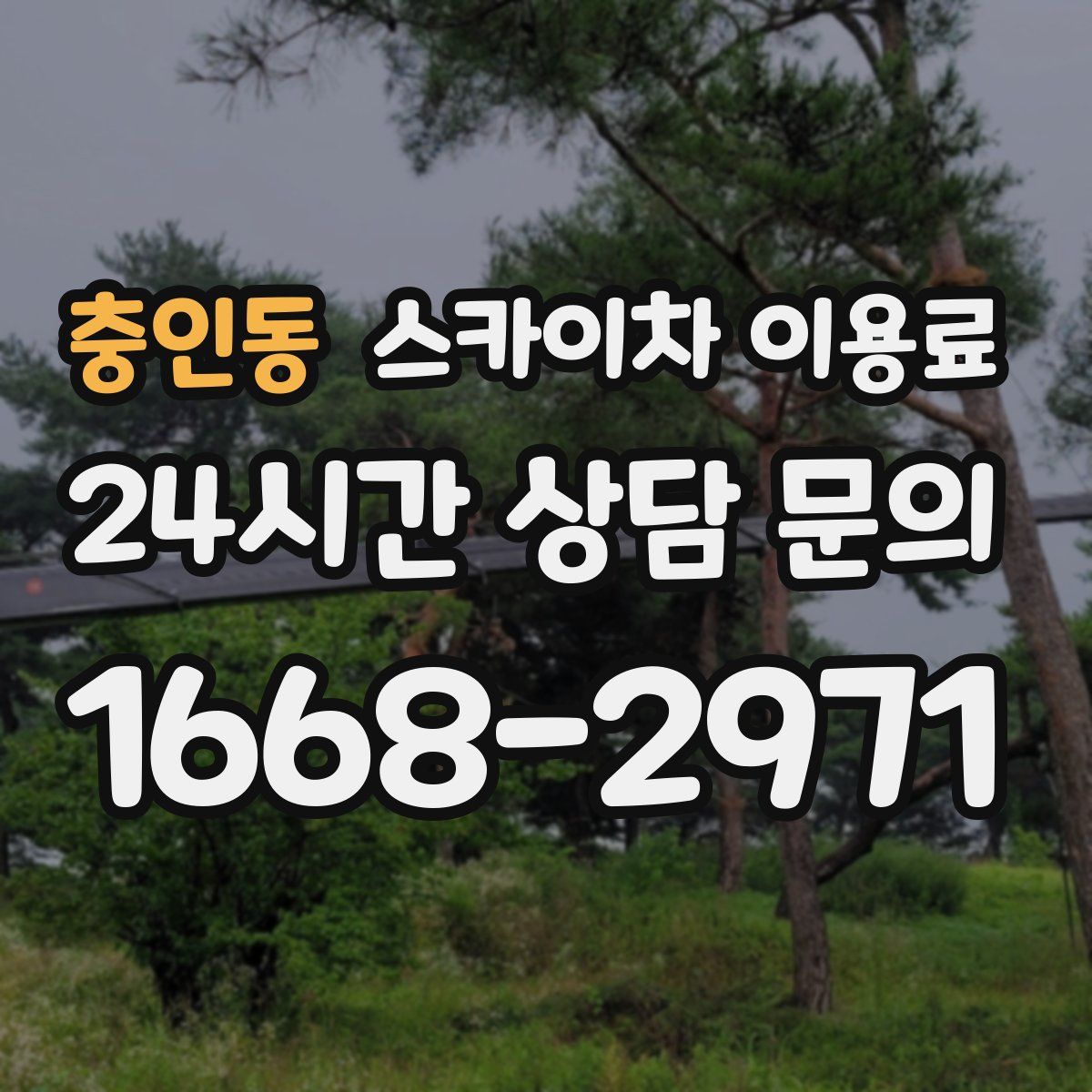 충인동 스카이차 이용료