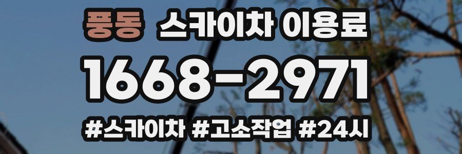 풍동 스카이차 이용료