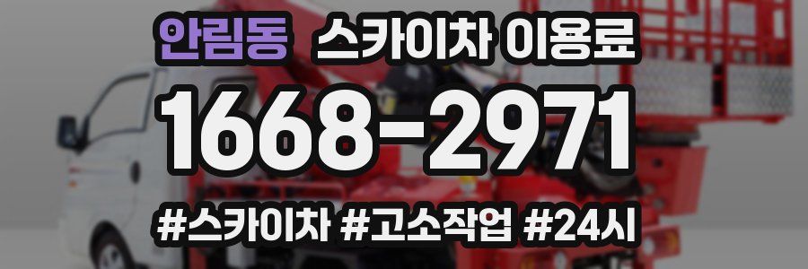 안림동 스카이차 이용료