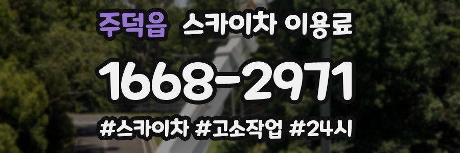 주덕읍 스카이차 이용료