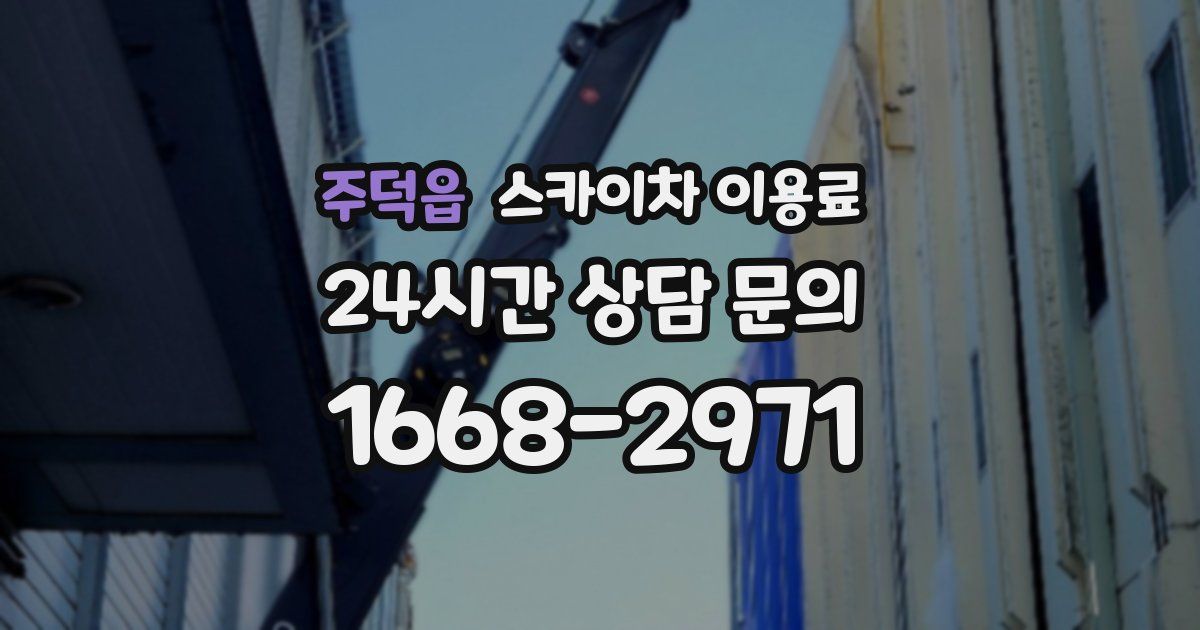 주덕읍 스카이차 이용료