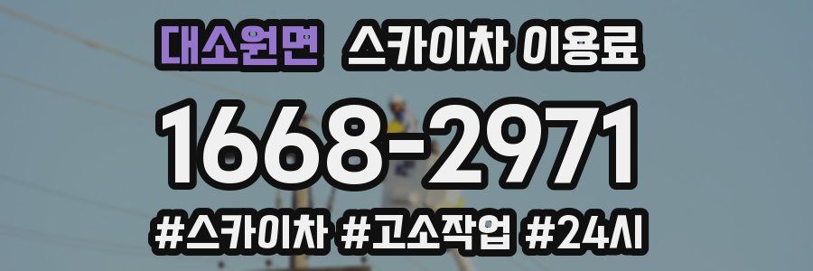 대소원면 스카이차 이용료