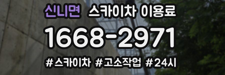 신니면 스카이차 이용료