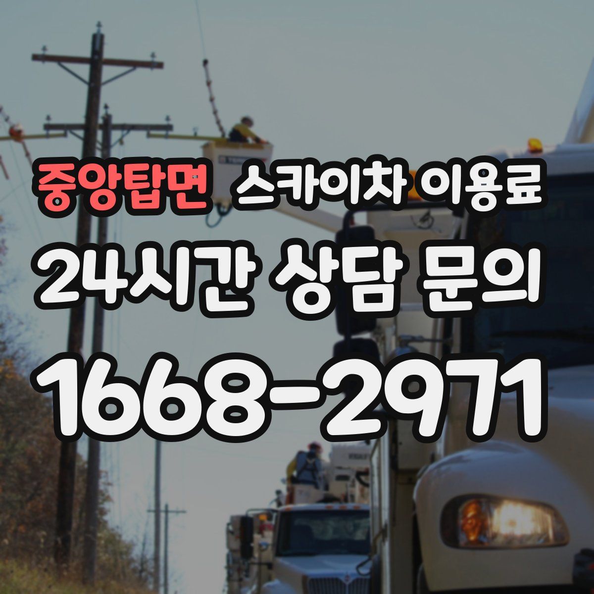 중앙탑면 스카이차 이용료