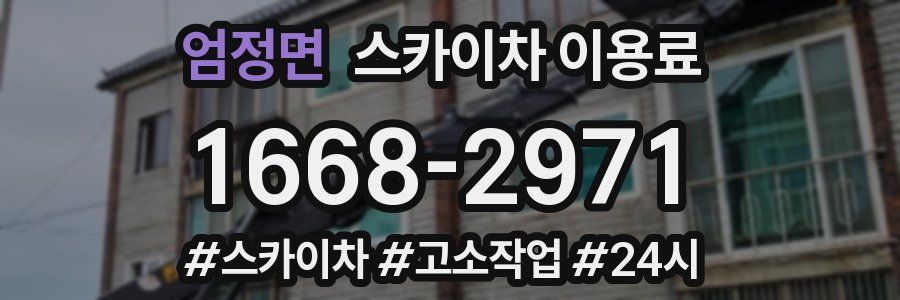 엄정면 스카이차 이용료