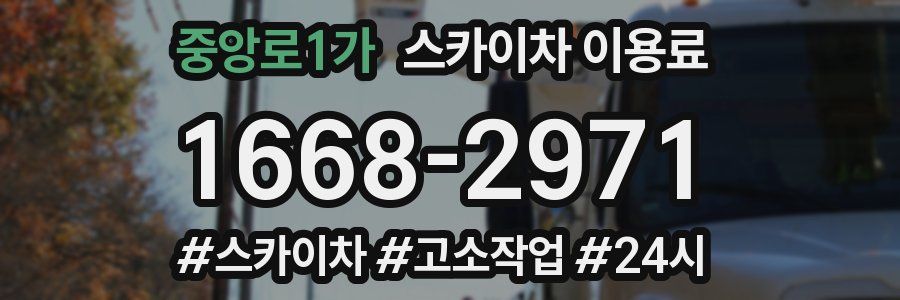 중앙로1가 스카이차 이용료