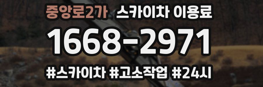 중앙로2가 스카이차 이용료