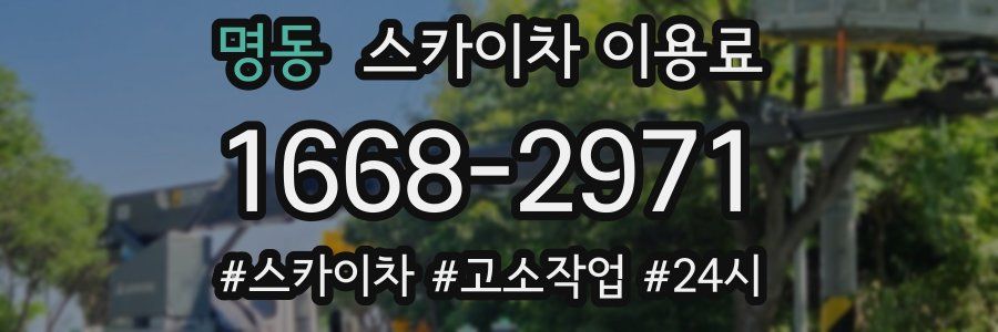 명동 스카이차 이용료
