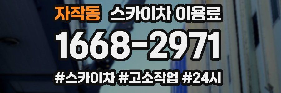 자작동 스카이차 이용료