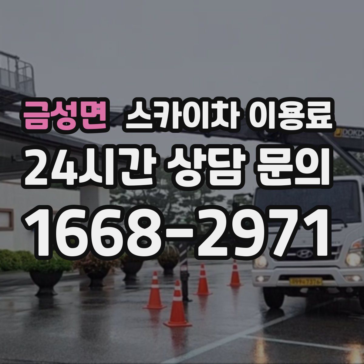 금성면 스카이차 이용료