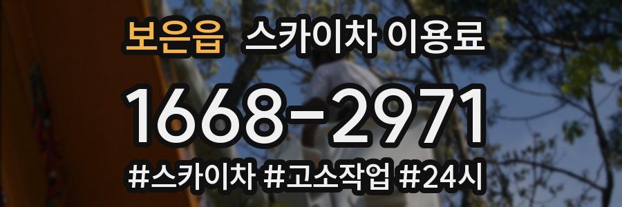 보은읍 스카이차 이용료