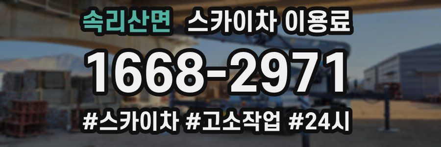속리산면 스카이차 이용료